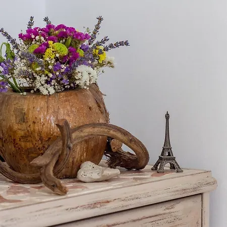 Sv Petar Stari U Centru Splita Lägenhet *