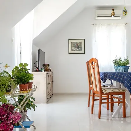 Sv Petar Stari U Centru Splita Lägenhet *