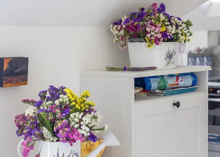 Apartman Sv Petar Stari U Centru Splita * Split